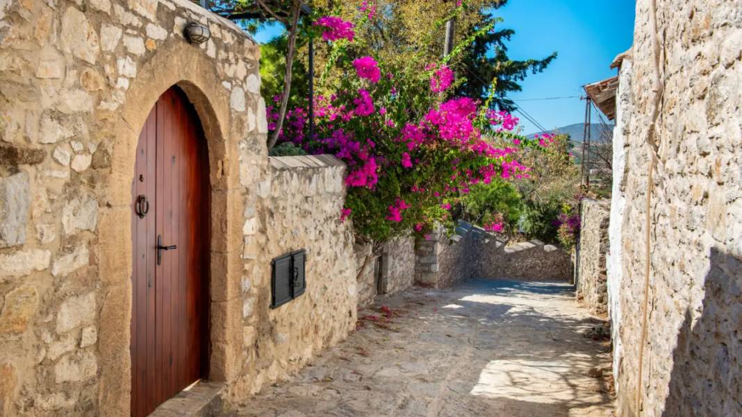 Türk mutfağı gururlandı! Muğla'nın meşhur lezzeti dünyanın en iyi 7. yemeği seçildi! 4